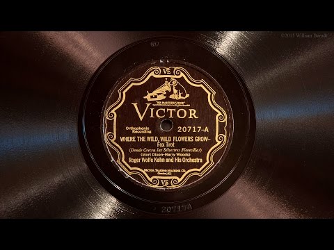 Where the Wild, Wild Flowers Grow • Roger Wolfe Kahn and His Orchestra (Victrola Credenza)