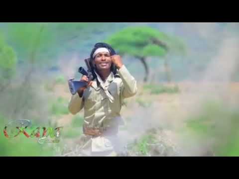 Itiqaa Tafarii - Dinan Lollan Irraa Malif Debita - New Ethiopian Oromo Music 2023(video Official)