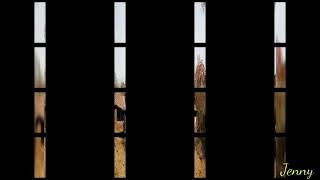 La Silla Vacia. Grupo Laberinto