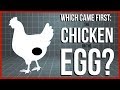 What Came First: The Chicken or the Egg?