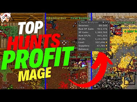 Tibia hunting grounds for mage to profit from lvl 8 to lvl 200🧙‍♂️🤑