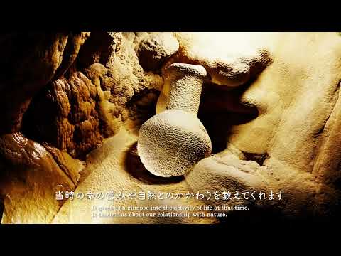 龍河洞PR_MOVIE_60s_2023