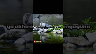 Download lagu STORY'WA KEREN HANYA CUKUP MENGAGUMI #story #viral #viralvideo mp3 Download lagu STORY'WA KEREN HANYA CUKUP MENGAGUMI #story #viral #viralvideo mp3