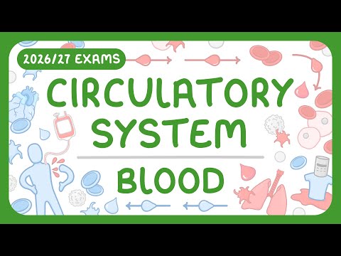 GCSE Biology - The Circulatory System | The Blood (2026/27 exams)