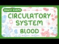 GCSE Biology The Circulatory System The Blood