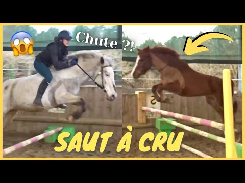 [COURS] Saut d'obstacles à cru et Dream saute 1 mètre 🤪 ! 20/02/21 - CS'o Landreau
