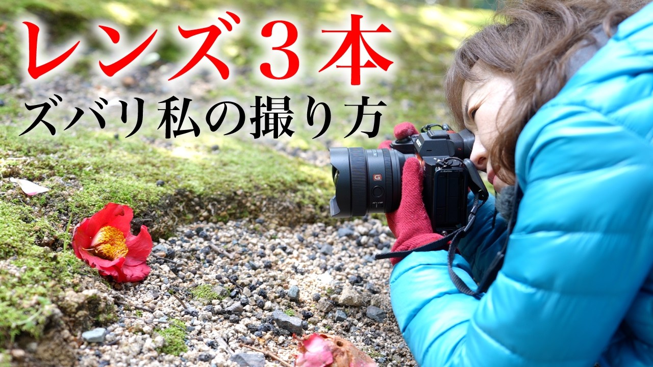 【椿をアンダー気味に撮る理由】花のイメージを掴む