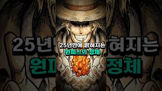 25년만에 밝혀지는 원피스의 정체