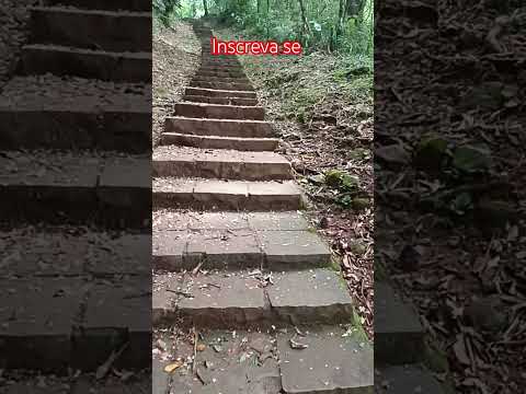 Escadaria nomeio do nada Porto vitória 💚#narureza #mata  #escadaria  #paraná  #cachoeira