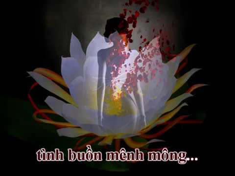 Nụ quỳnh rướm máu - Tâm Thư