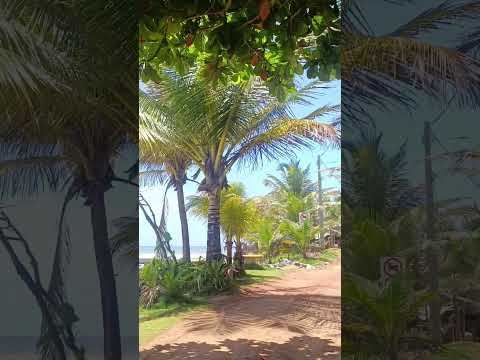 Praia de Sagi: um paraíso escondido em Baía Formosa (RN)