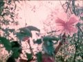 Captain Beefheart & His Magic Band - Abba Zaba