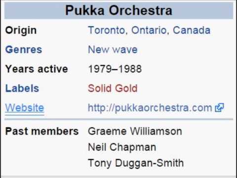 GOLDMINE IN THE SKY by The Pukka Orchestra