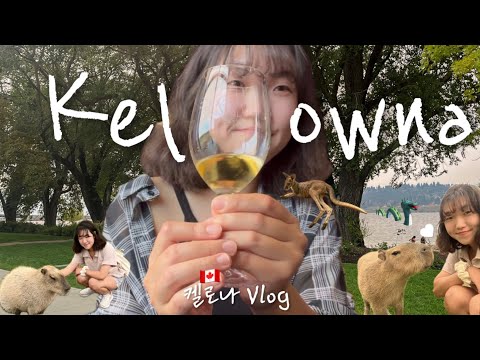  🇨🇦켈로나 웨안가?! | 캐나다 지상낙원 | 캥거루 팜에서 카피바라와 사랑에 빠지기 | 와인알못의 와이너리 방문 | 밴쿠버 워홀러 필수 여행지 | Kelowna 여행 브이로그
