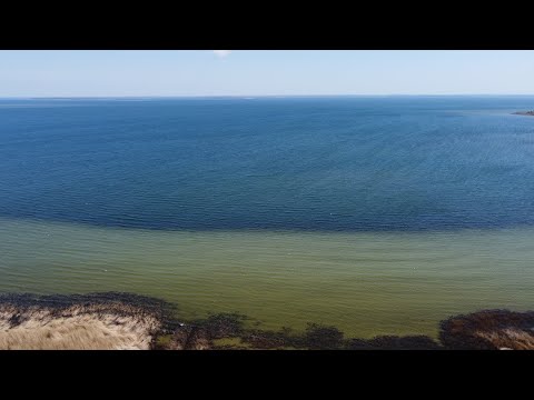 Mein 5ter Flug mit der DJI Mini 2 in Prohn an der Ostsee2