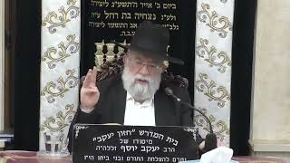 הרב אהרון ירחי  •  דיני השבת אבדה (בית הכנסת מוסאיוף) - התמונה מוצגת ישירות מתוך אתר האינטרנט יוטיוב. זכויות היוצרים בתמונה שייכות ליוצרה. קישור קרדיט למקור התוכן נמצא בתוך דף הסרטון