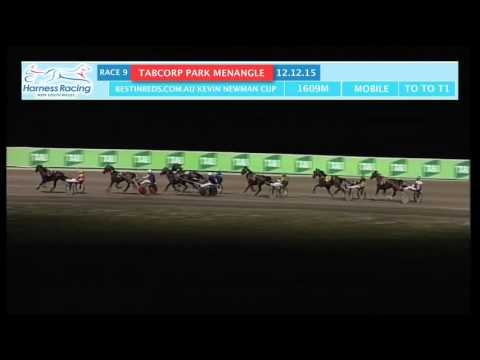 TABCORP PK MENANGLE - 12/12/2015 - Race 9 - BEST IN BEDS NEW YEARS SALE TROTTERS MOBILE