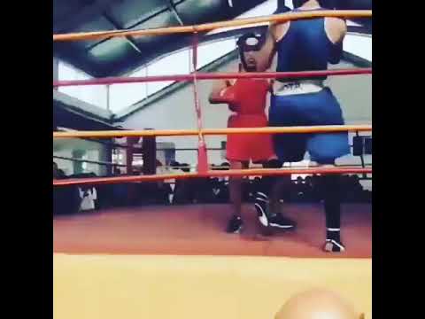 campeonato de  boxeo:final de la copa navideña 2018