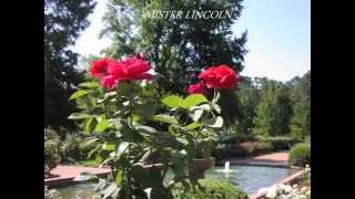 preview picture of video 'Tyler Rose Garden, Tyler Texas'