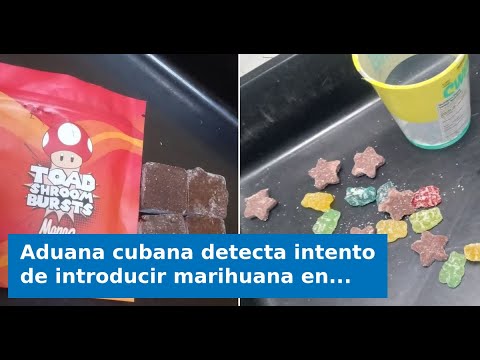 Aduana cubana detecta intento de introducir marihuana en gominolas, chocolates y cigarrillos electró