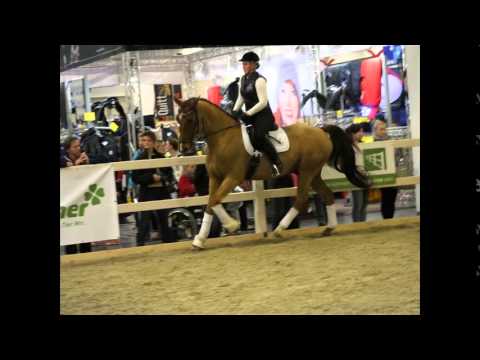 Condé Reitseminare auf der Equitana in 2015