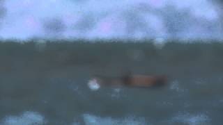 Fade Away-12 stones (HQ)