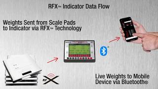 SW777RFX Wireless Professional Scale System - video thumbnail 2