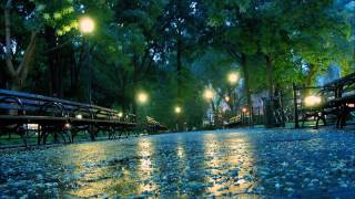 Blues for Celie-Ronnie Earl