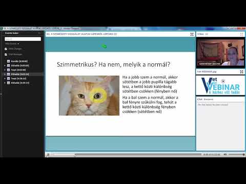 rmapo szemészet