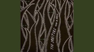 Music video thumbnail preview for Into the Woods by The Janitors