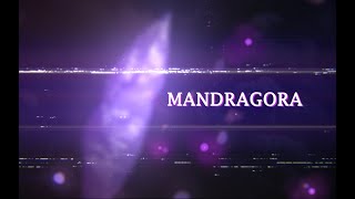 Cover art for Mandragora