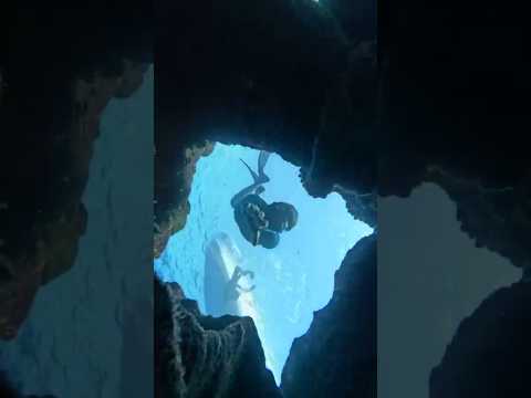 Scuba Diving in Kiltan Island | Lakshadweep Underwater Beauty