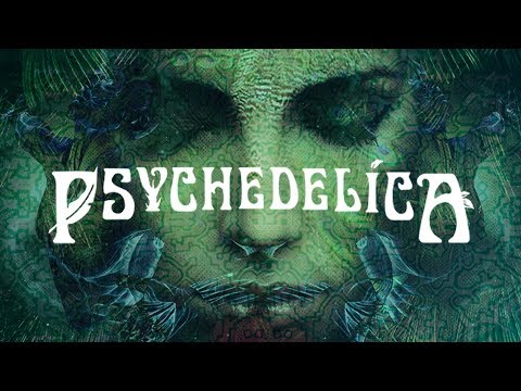 Psychedelics and Consciousness