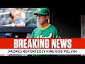 BREAKING: Padres Reportedly Hire Bob Melvin as New Manager | CBS Sports HQ