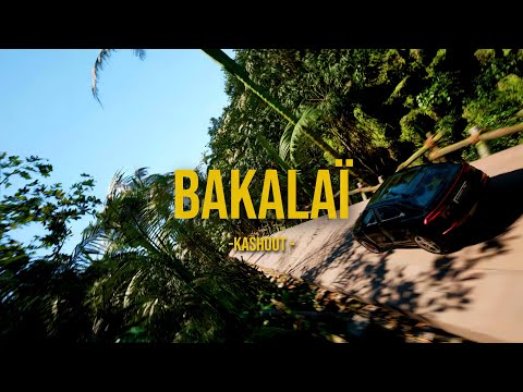Kashout - BAKALAÏ  {Visualizer Officiel}