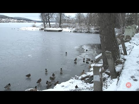 Кормить уток с благоустроенной набережной. В Думе Ревды обсудили перспективы комфортности города