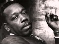Goodbye Slim Harpo - Robert pete Williams