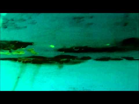 grand slam keel rust you tube