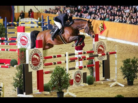 Diamant de Plaisir *2012 by Diamant de Semilly - For Pleasure (Sosath Stallion Show 2019)