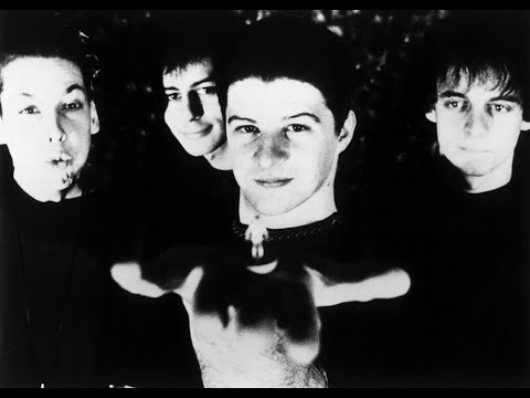 Thumbnail for Pale Saints - Half-Life, Remembered (remastered) by Pale Saints