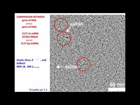 In Vitro Reconstitution of Virus-Like Particles for the Delivery of Self-Replicating RNA Genes