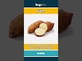 yam - a yam is a sweet, starchy... video thumbnail
