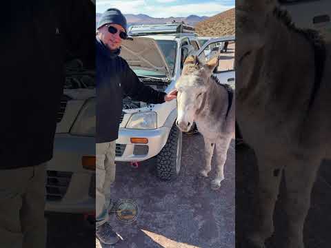 Travesia Catamarca Julio 2026