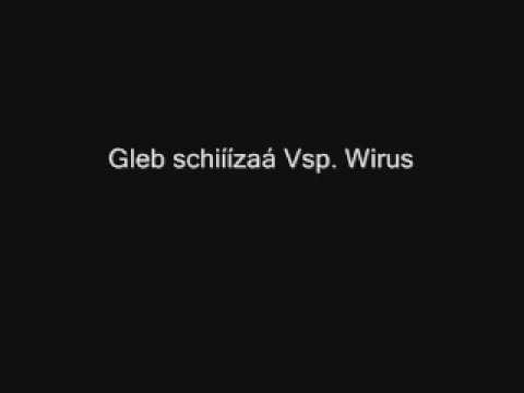 Jasna Palka - Gleb schiza vsp. wirus - Motivácia!