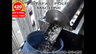SITAFAL PULP ALL IN ONE