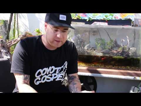 Robin Black Freestyle ft Tony Primo DaysAway Studios