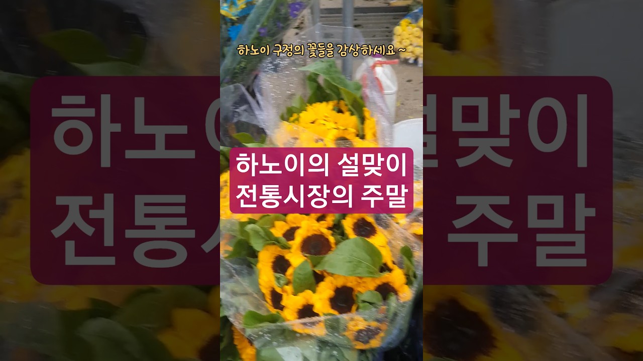 설을 맞는 하노이 전통 꽃시장과 농산물 도매시장. 베트남에는 먹거리들로 넘쳐남니다.  #하노이 #꽃시장 #전…