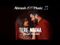 TERE NAINA DIL CHURA KE LE GAYE SLOWED AND REVERB DILL BILL WARINA HUSSAIN ISHAAN