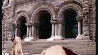 Rush - Broon's Bane/The Trees  (March 23, 1981)