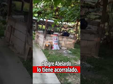 ¡OFENSIVA TOTAL CONTRA EL ELN EN TAME! | ¡ABELARDO DE LA ESPRIELLA VA POR BELTRÁN!